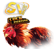 sv388 PALEM77