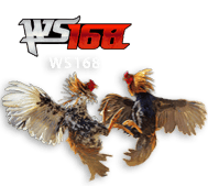 ws168 PALEM77
