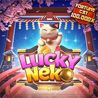neko PALEM77