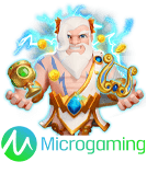 microgaming PALEM77